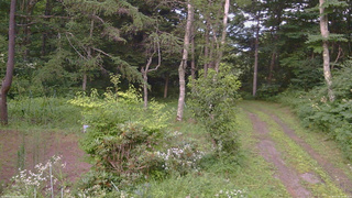 長野県菅平高原 ゆたか山荘 坂上 2026/07/31 18:00