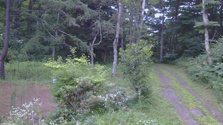 長野県菅平高原 ゆたか山荘 坂上 2026/07/31 18:45