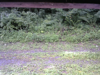 長野県菅平高原 ゆたか山荘 東側(坂下) 2026/08/01 10:15