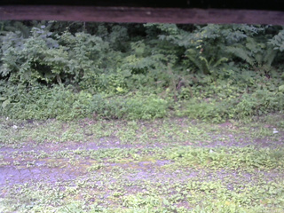 長野県菅平高原 ゆたか山荘 東側(坂下) 2026/08/01 11:15
