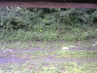 長野県菅平高原 ゆたか山荘 東側(坂下) 2026/08/01 11:45