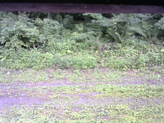 長野県菅平高原 ゆたか山荘 東側(坂下) 2026/08/01 14:00