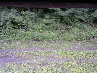 長野県菅平高原 ゆたか山荘 東側(坂下) 2026/08/01 15:45