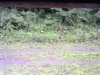 長野県菅平高原 ゆたか山荘 東側(坂下) 2026/08/01 16:15