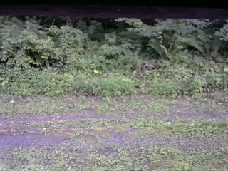長野県菅平高原 ゆたか山荘 東側(坂下) 2026/08/01 17:15