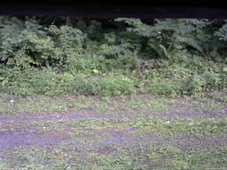 長野県菅平高原 ゆたか山荘 東側(坂下) 2026/08/01 17:30