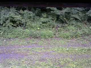 長野県菅平高原 ゆたか山荘 東側(坂下) 2026/08/01 18:00