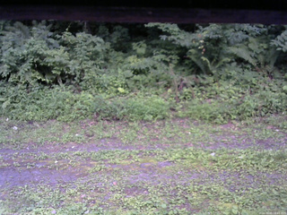 長野県菅平高原 ゆたか山荘 東側(坂下) 2026/08/01 18:45