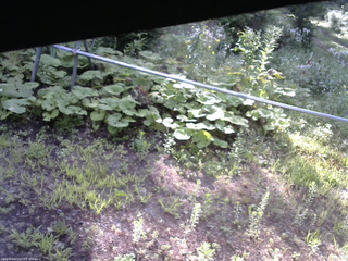 長野県菅平高原 ゆたか山荘 駐車場 2026/08/01 07:00