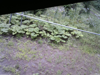 長野県菅平高原 ゆたか山荘 駐車場 2026/08/01 09:00