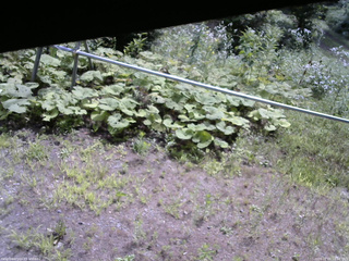 長野県菅平高原 ゆたか山荘 駐車場 2026/08/01 10:00