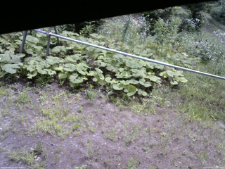 長野県菅平高原 ゆたか山荘 駐車場 2026/08/01 10:15