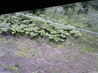 長野県菅平高原 ゆたか山荘 駐車場 2026/08/01 10:30