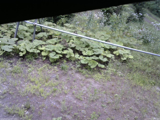 長野県菅平高原 ゆたか山荘 駐車場 2026/08/01 10:45