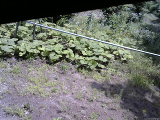 長野県菅平高原 ゆたか山荘 駐車場 2026/08/01 11:30