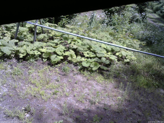 長野県菅平高原 ゆたか山荘 駐車場 2026/08/01 11:45