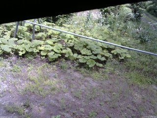 長野県菅平高原 ゆたか山荘 駐車場 2026/08/01 12:30