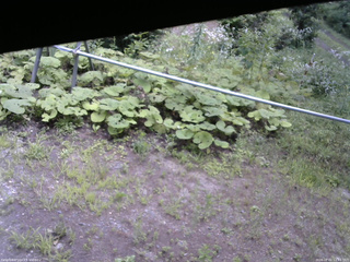長野県菅平高原 ゆたか山荘 駐車場 2026/08/01 12:45