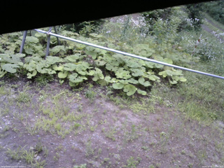 長野県菅平高原 ゆたか山荘 駐車場 2026/08/01 13:00