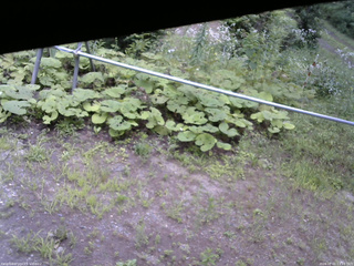 長野県菅平高原 ゆたか山荘 駐車場 2026/08/01 13:15