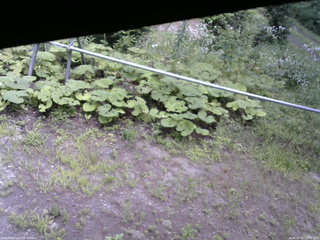 長野県菅平高原 ゆたか山荘 駐車場 2026/08/01 13:30