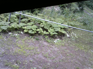 長野県菅平高原 ゆたか山荘 駐車場 2026/08/01 15:00