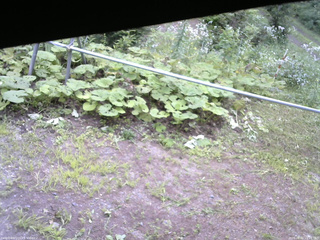 長野県菅平高原 ゆたか山荘 駐車場 2026/08/01 15:15