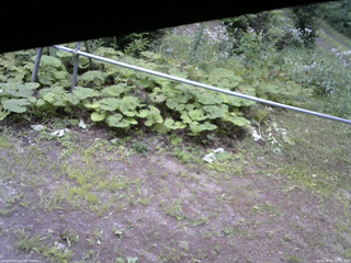 長野県菅平高原 ゆたか山荘 駐車場 2026/08/01 15:30