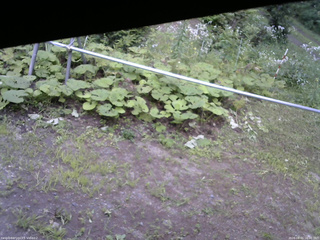 長野県菅平高原 ゆたか山荘 駐車場 2026/08/01 16:00