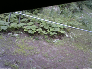 長野県菅平高原 ゆたか山荘 駐車場 2026/08/01 18:30