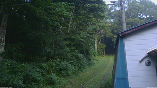 長野県菅平高原 ゆたか山荘 ゆたか山荘 2026/08/01 05:00