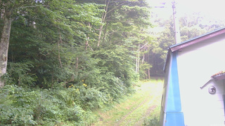 長野県菅平高原 ゆたか山荘 ゆたか山荘 2026/08/01 05:45