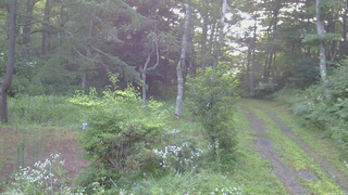 長野県菅平高原 ゆたか山荘 坂上 2026/08/01 05:15