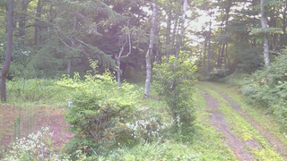 長野県菅平高原 ゆたか山荘 坂上 2026/08/01 05:30
