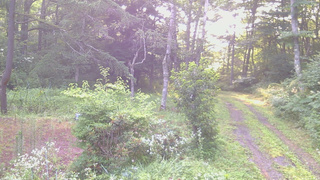 長野県菅平高原 ゆたか山荘 坂上 2026/08/01 06:00