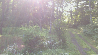 長野県菅平高原 ゆたか山荘 坂上 2026/08/01 06:30