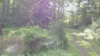 長野県菅平高原 ゆたか山荘 坂上 2026/08/01 07:00