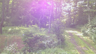 長野県菅平高原 ゆたか山荘 坂上 2026/08/01 07:15