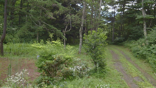 長野県菅平高原 ゆたか山荘 坂上 2026/08/01 07:30