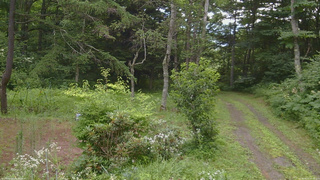 長野県菅平高原 ゆたか山荘 坂上 2026/08/01 07:45