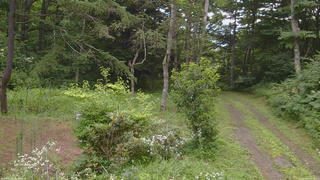 長野県菅平高原 ゆたか山荘 坂上 2026/08/01 08:00