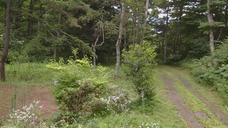 長野県菅平高原 ゆたか山荘 坂上 2026/08/01 08:15