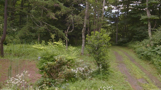 長野県菅平高原 ゆたか山荘 坂上 2026/08/01 08:30