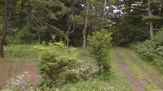 長野県菅平高原 ゆたか山荘 坂上 2026/08/01 08:45