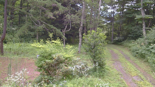 長野県菅平高原 ゆたか山荘 坂上 2026/08/01 09:15