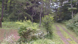 長野県菅平高原 ゆたか山荘 坂上 2026/08/01 09:30