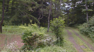 長野県菅平高原 ゆたか山荘 坂上 2026/08/01 09:45