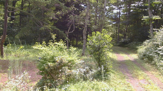 長野県菅平高原 ゆたか山荘 坂上 2026/08/01 10:00