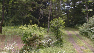 長野県菅平高原 ゆたか山荘 坂上 2026/08/01 10:15