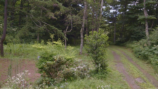 長野県菅平高原 ゆたか山荘 坂上 2026/08/01 10:30